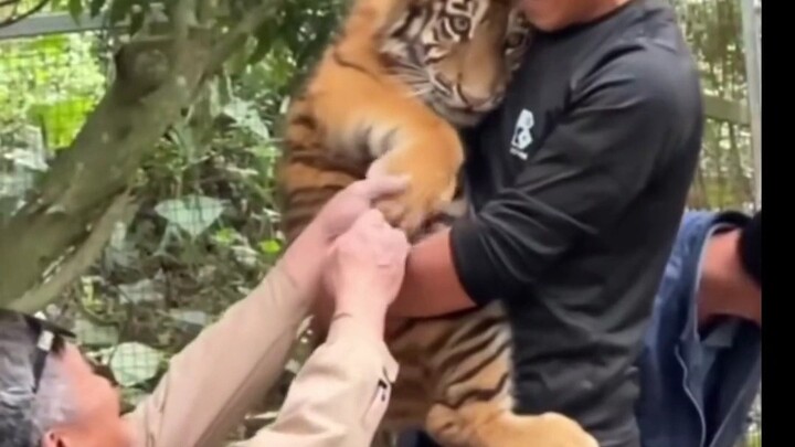 น้องน้ำตาลทรายแดง หนูน่ารักจริงๆ เลย~