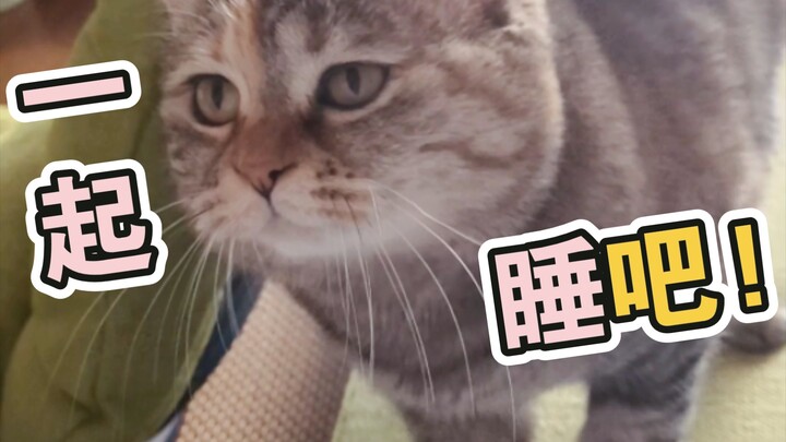 Mao Mao, I’m here to sleep with you~