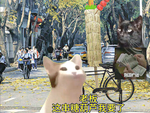 When I Stubbornly Bought the Last Skewer of Tanghulu