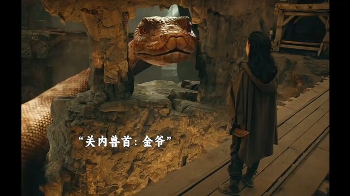 Xijie’s Insane Pet: Old Jin