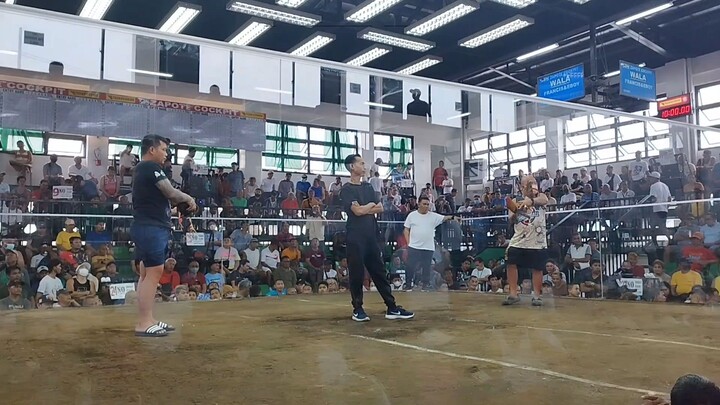 humataw si lolo goldy. Eboy gameyard entry natin sa 2cock derby @ZapoteColoseum