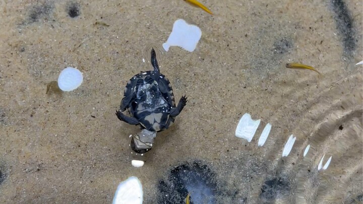 I can't stand to see them so relaxed!