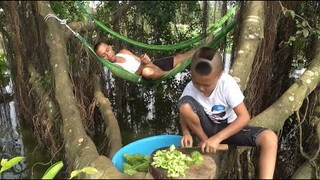 Mao Đại Ca Không Làm Mà Đòi Ăn Và Cái Kết