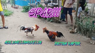 ASIL X MELSIM X KELSO VS RAPTOR SWEATER  SPAR!!                JRP BACKYARD