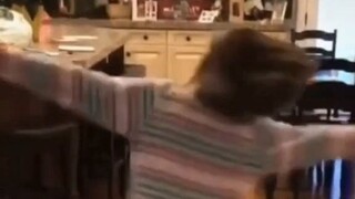 [Re-uploaded] Voguing can save any awkward situation