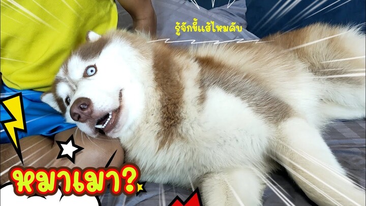 ตะลึงขั้นสุด แทบหยุดหายใจ 🤣🤣🤣