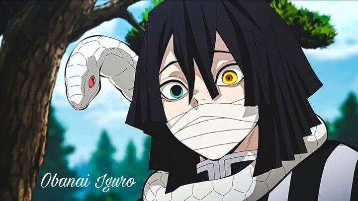 Sang Hashira Ular 🐍