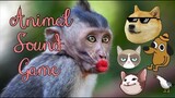 ANIMAL SOUND GAME || HILARIOUS || FAMILY FUN GAME