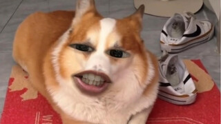 ليس مستحيلًا أيضًا