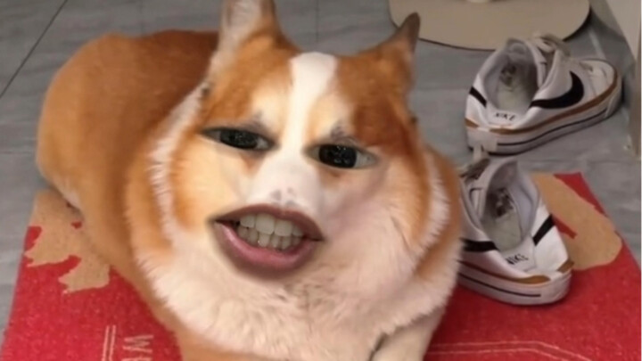 Cũng không phải là không thể