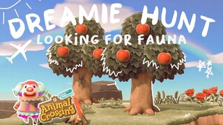 DREAMIE HUNT FOR FAUNA... KIND OF // ANIMAL CROSSING NEW HORIZONS