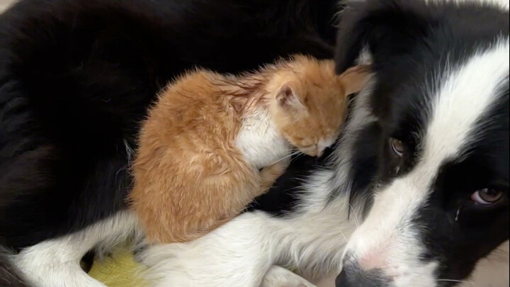 ฝนตกหนัก เต็นท์จมน้ำ