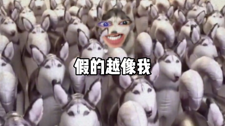 Doggy: Do I look happy to you?