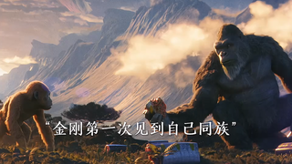 当金刚第一次见到自己同族是一种怎样的体验……