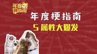 人人都在爆发的S属性是什么东西？【年度梗指南】