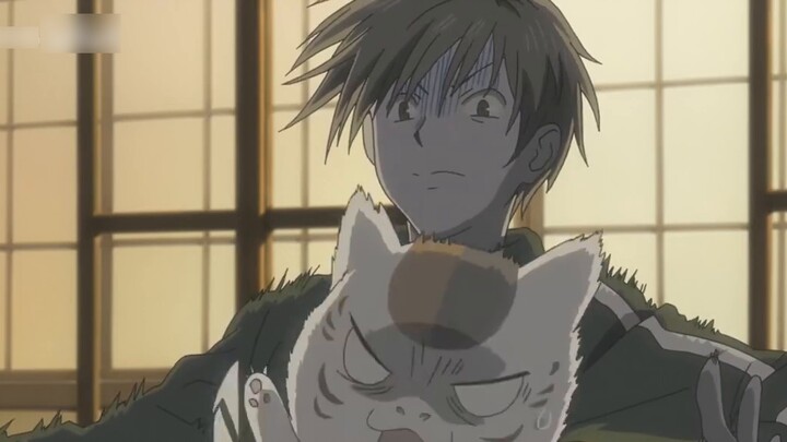 The cat teacher who curses is so cute! Who can resist a fat cat who can curse?