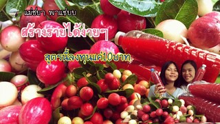 ทำน้ำมะม่วงหาวมะนาวโห่ ทำง่ายๆ สร้างรายได้เป็นกอบเป็นกำ | แม่ชบาพาแซ่บบ