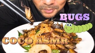ASMR:Noodle With Bugs (EATING SOUNDS)|COCO SAMUI ASMR #กินโชว์ผัดมาม่า แมลงทอด