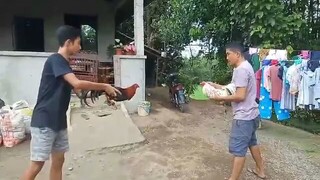 bangkas pwd na ba mga idol