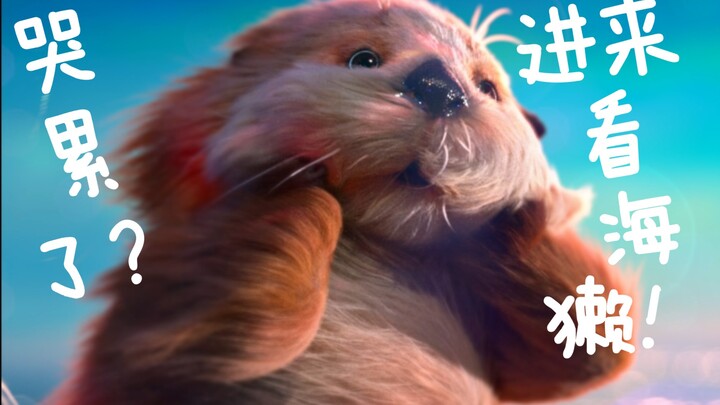 Thâm Hải: Đúng, cứ quảng bá tôi như thế!