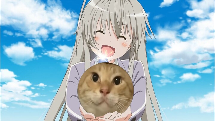 【ฮาคิมิ FM】ฮาคิมิคือทาสสายดาต้า (แอบซุ่ม! ไนอาโกะ W) 【ย้อนเก็บ·รีมาสเตอร์】