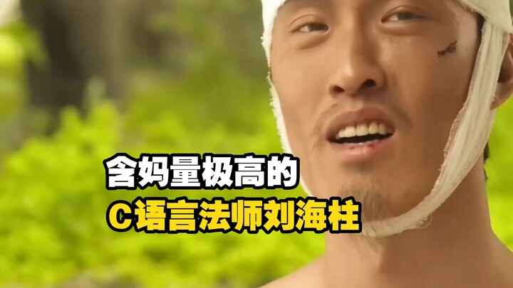 Penyihir bahasa C dengan tingkat kebaperan yang sangat tinggi, Liu Haizhu!