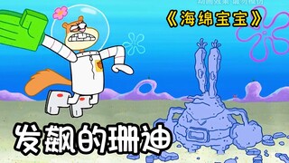 《海绵宝宝》海绵宝宝之“疯狂的松鼠”！