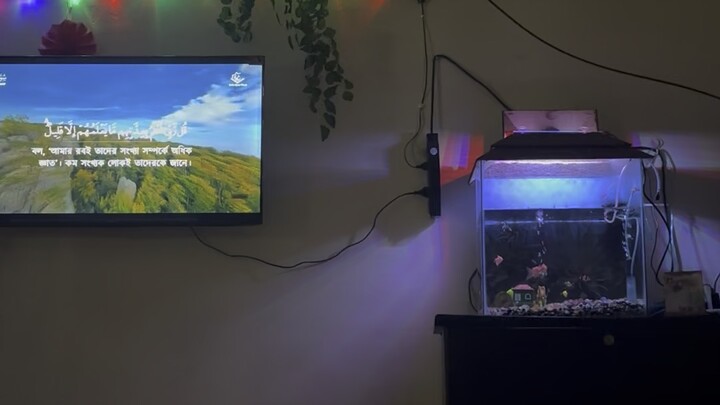 My favourite place in my house