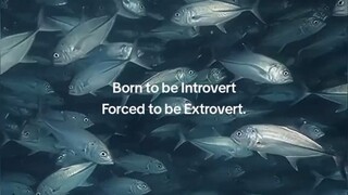 born to be introverted
