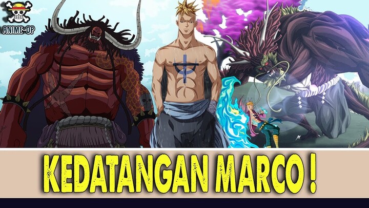 KEDATANGAN MARCO THE PHOENIX KE WANO ! [THEORY ONE PIECE]]