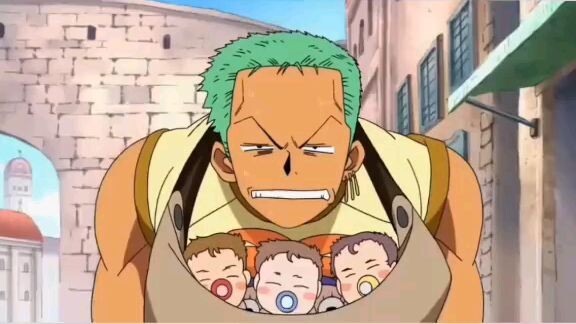 zoro adalah pelindung robin