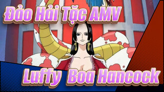 [Đảo Hải Tặc AMV] Tổng hợp Luffy & Boa Hancock / Xem thử nha nếu bạn thích