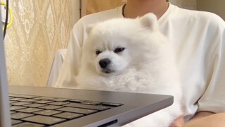 คนยังหลับอยู่มั้ย?