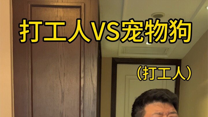 The Difference Between Me and My Pet Dog