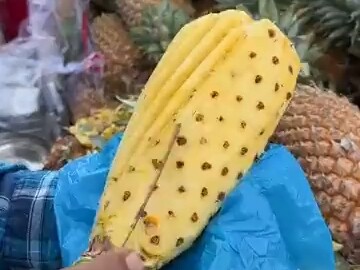 สับปะรดลูกนี้ไม่ตำมือเหรอ?