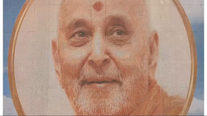 The Spirit of Seva  the Bubble Wrap Painting #tiktalk #India #BAPS #IndianCulture #swaminarayan