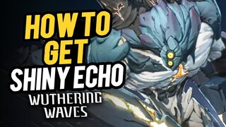 Wuthering Waves - Shiny Echo