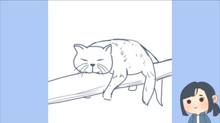 Gambar Kucing Bobok