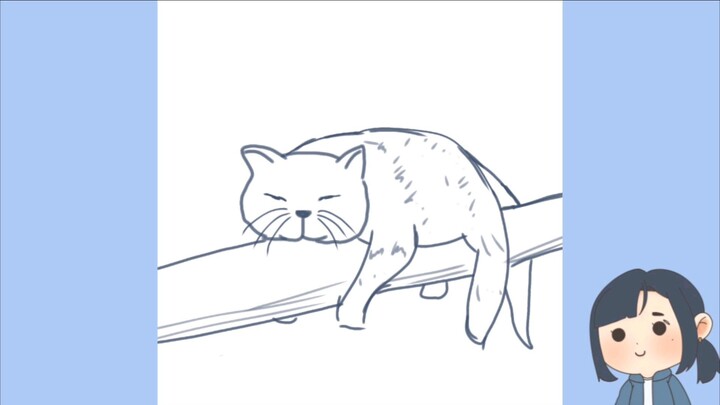 Gambar Kucing Bobok