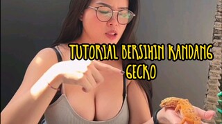tutorial apa?