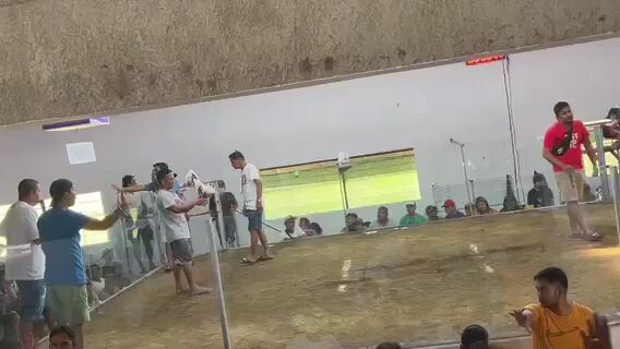 Tyope ba or hindi lose second fight