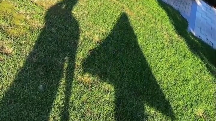 Luar biasa banget! Pria ini selalu bawa “panah penunjuk jalan” saat bepergian, netizen: “Malam ini a