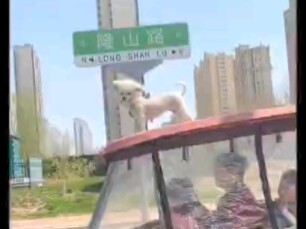 Hari ini jasa baikku lagi hilang—aku ketawa sampai perut sakit #PenuhSikapMenantang #TemanNgeselin