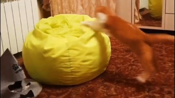 “This sofa looks so cozy!”