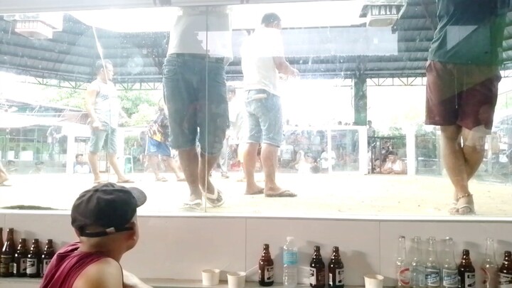 talisay kong payat pa ngalawang panalo