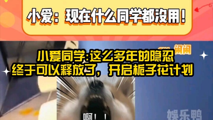 Xiaoi: All these years of忍ing have finally come to an end—let’s activate the Gardenia Plan!