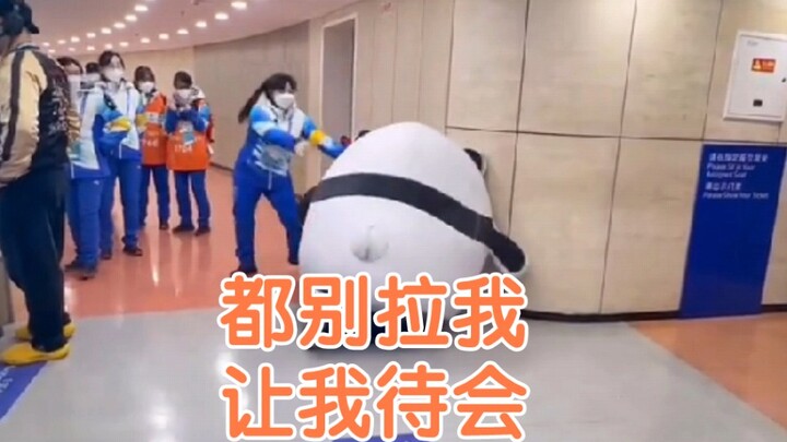 Bing Dwen Dwen: I’m going to attempt a quad Axel! Yuzuru Hanyu: ???