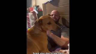 ระหว่างเทรดบิตคอยน์กับรอแกมีใจ อะไรเสี่ยงกว่ากัน