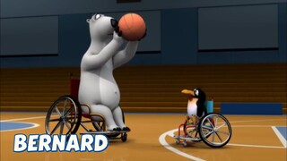 BERNARD BEAR || WHEELCHAIR BASKETBALL - CARTOON CHILDREN