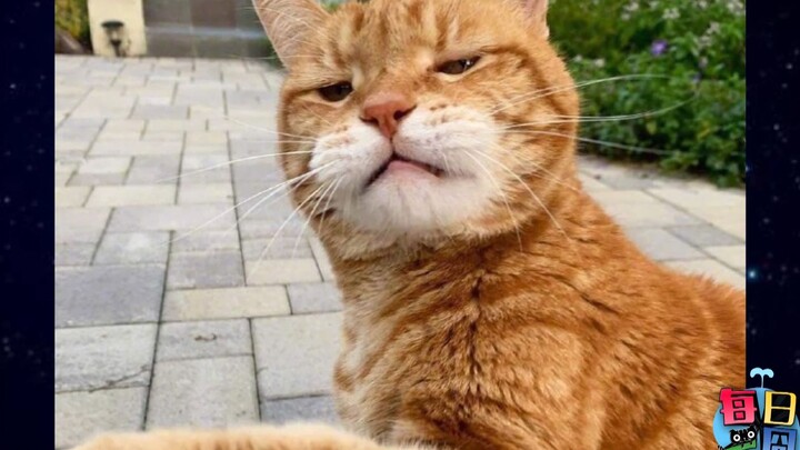[Daily Awkward Moment] Now I totally get why people who finish work at 10 p.m. still stay up late to